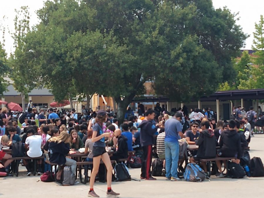 Many students are still unaware of the potential risk of the virus spreading spreading, and crowds of students enjoy lunch together, putting risk to the school's pandemic defense. 