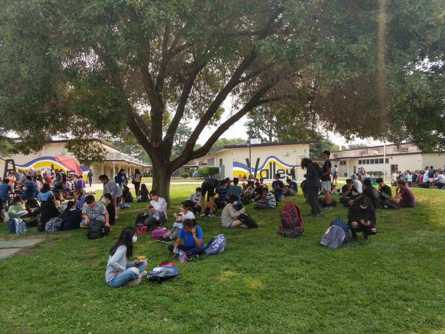 To keep areas less densely populated, students voluntarily social-distance on the grass. 