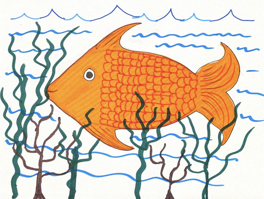 Drawing of abnormally sized goldfish in a lake.