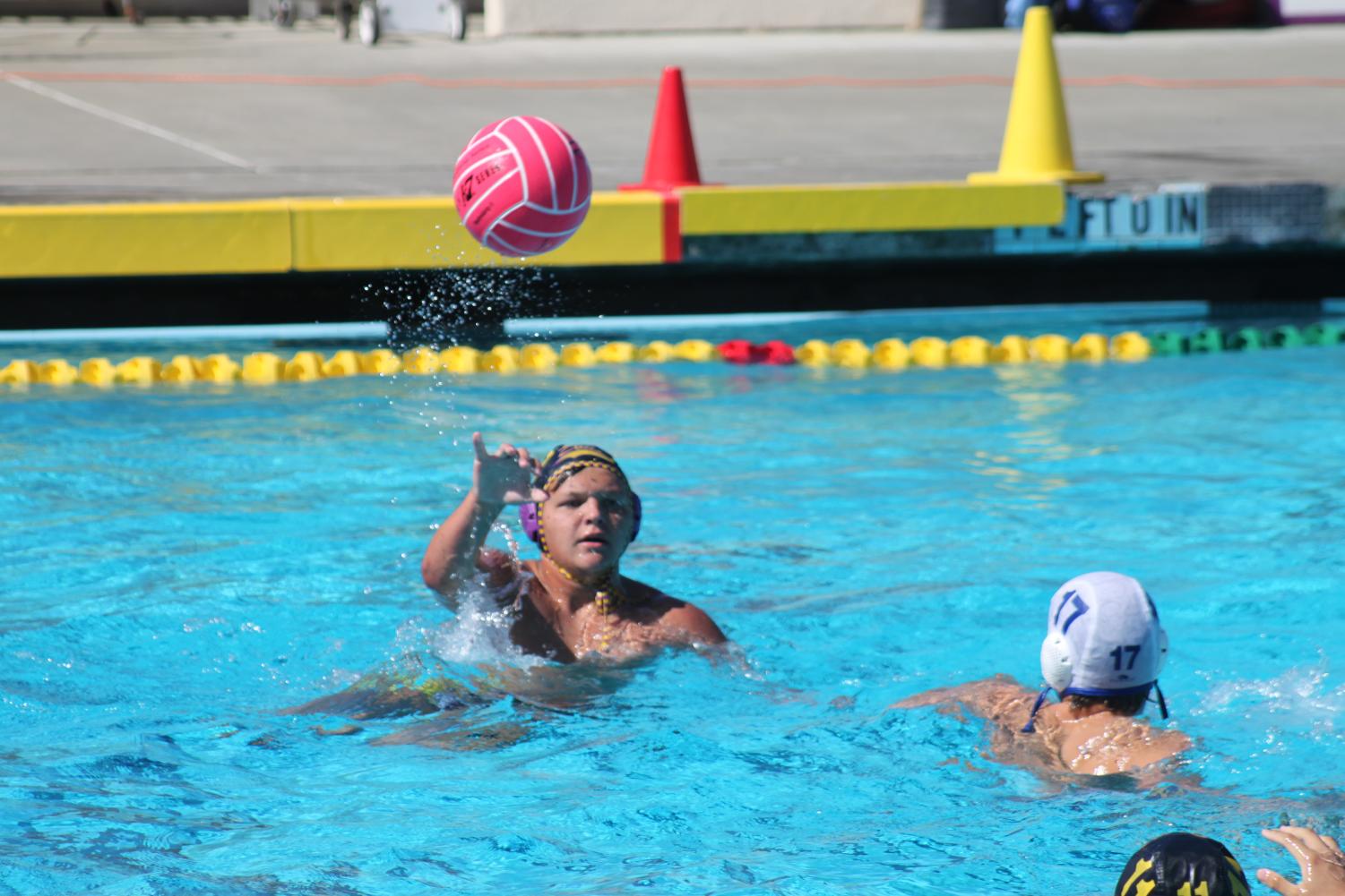 Varsity Boys Water Polo