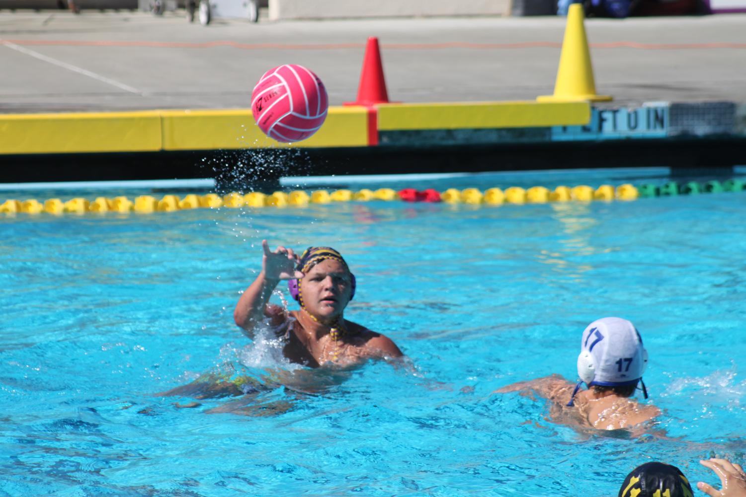 Varsity+Boys+Water+Polo