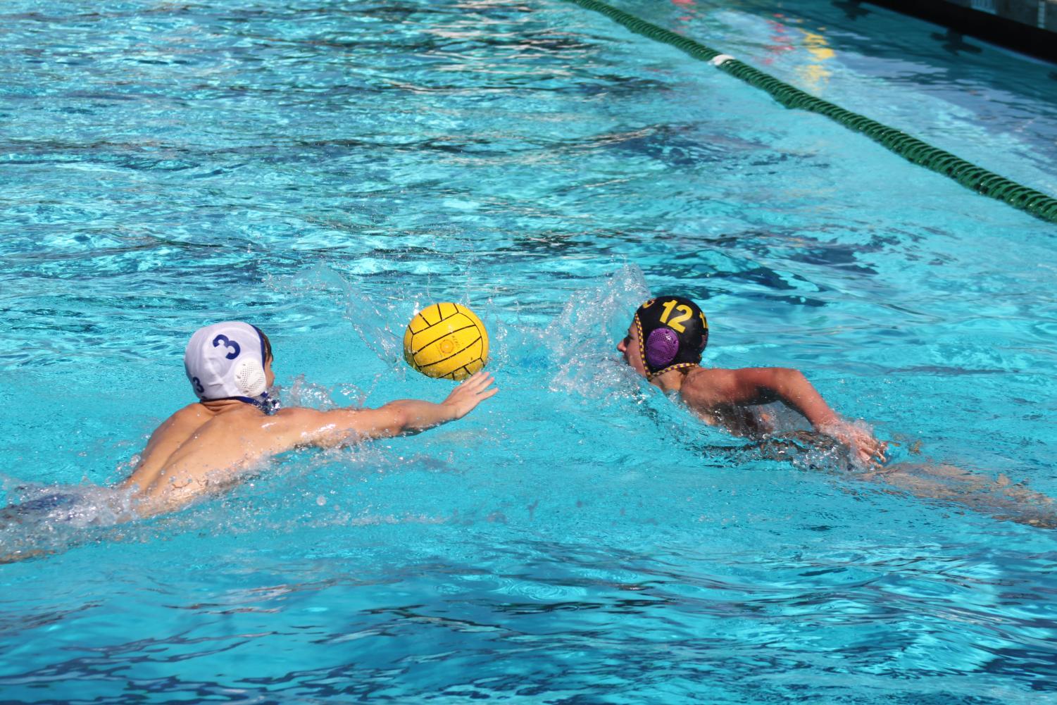 Varsity+Boys+Water+Polo