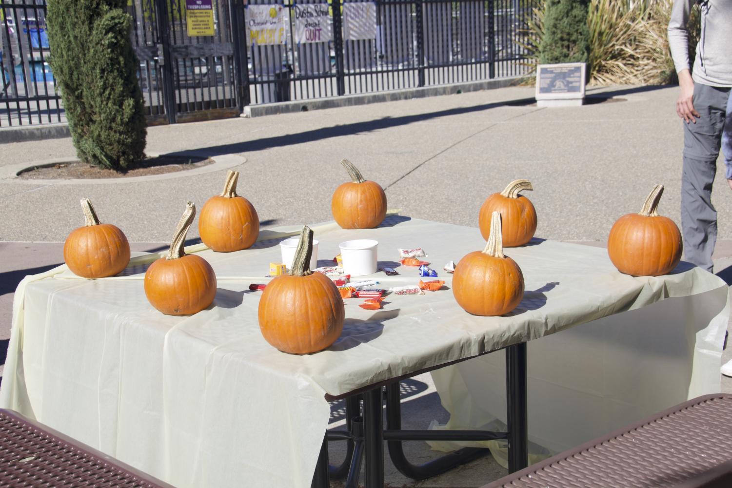 English second language students participate in a pumpkin painting social