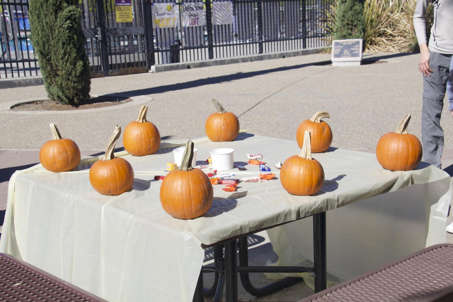 English+second+language+students+participate+in+a+pumpkin+painting+social