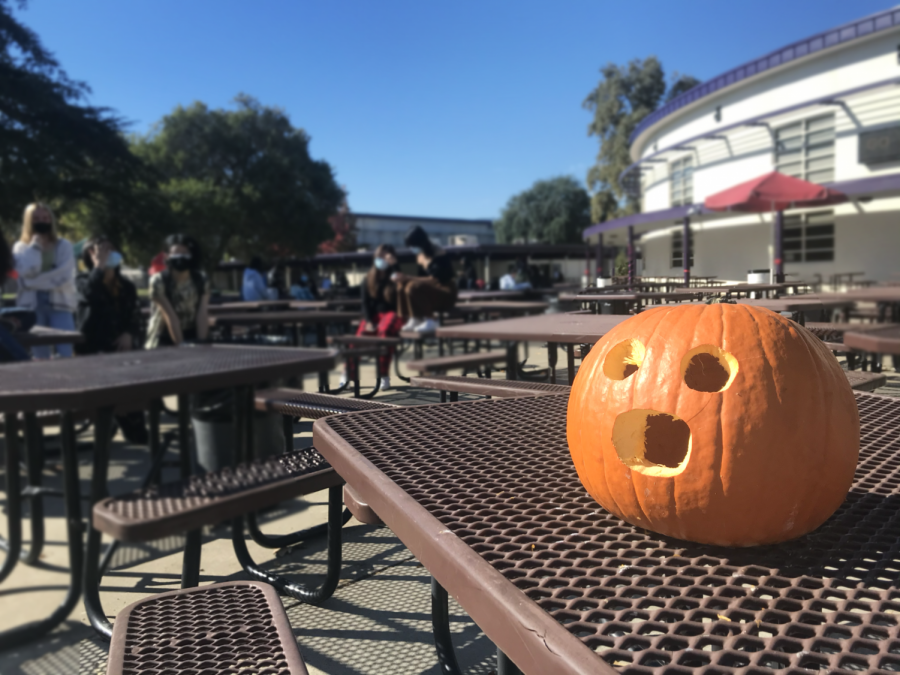 Using chemical reactions to carve a pumpkin is much more entertaining than traditional hand-carving. It may look simple, but it the creativity makes up for it!