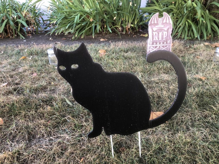 Someone's side lawn has newly spawned an eerie pet cemetery - join them in their mourning of one black cat.