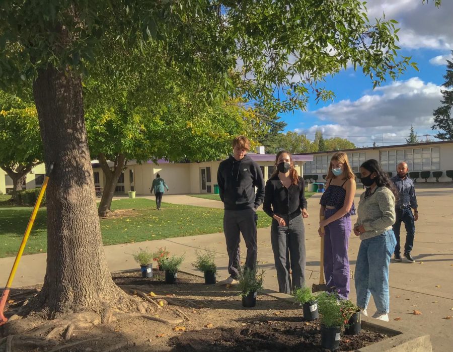 AV Leadership worked hard to plant flowers in the quad for the rest of the school to enjoy. 