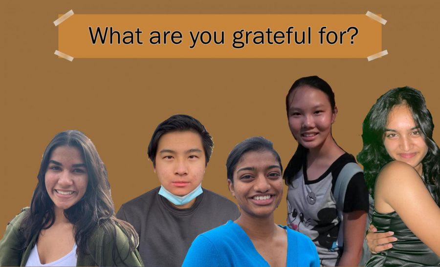 November Group Feature: What are you grateful for?