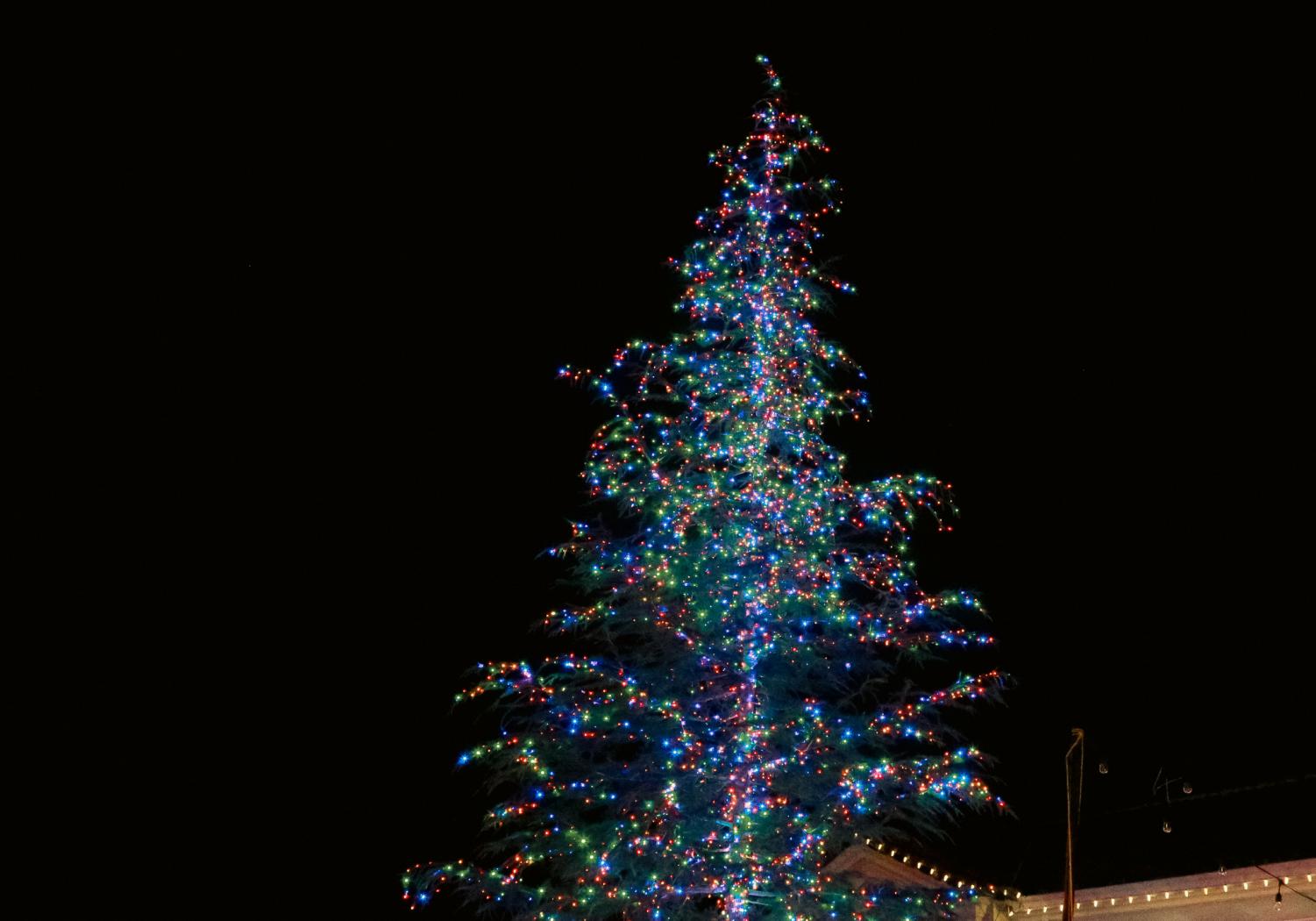 The Holiday Parade through photos