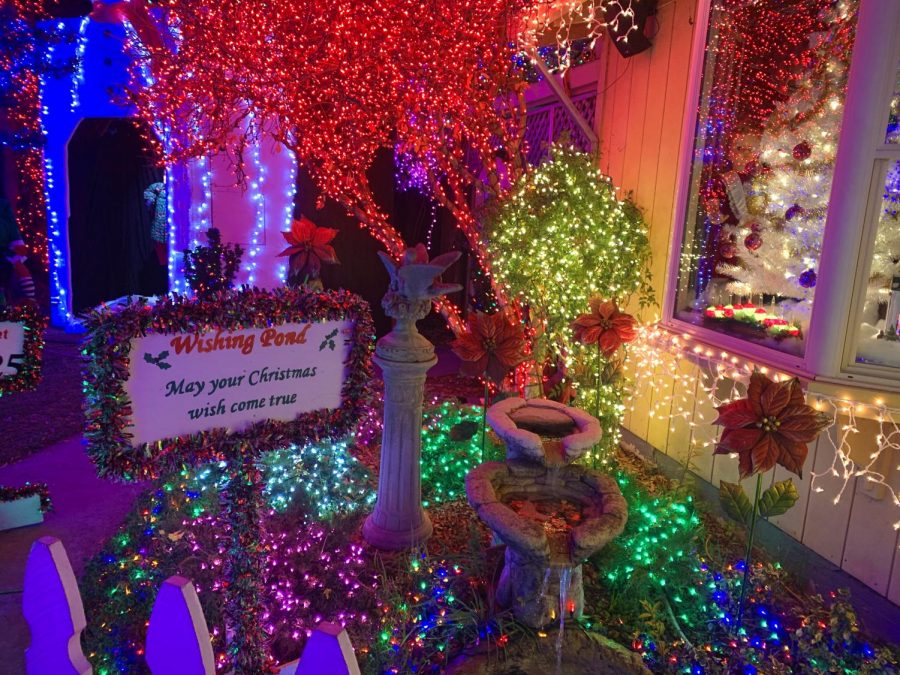 Devon Dave's has a wishing pond for your Christmas wishes. It's filled with coins and decorated with bright lights.