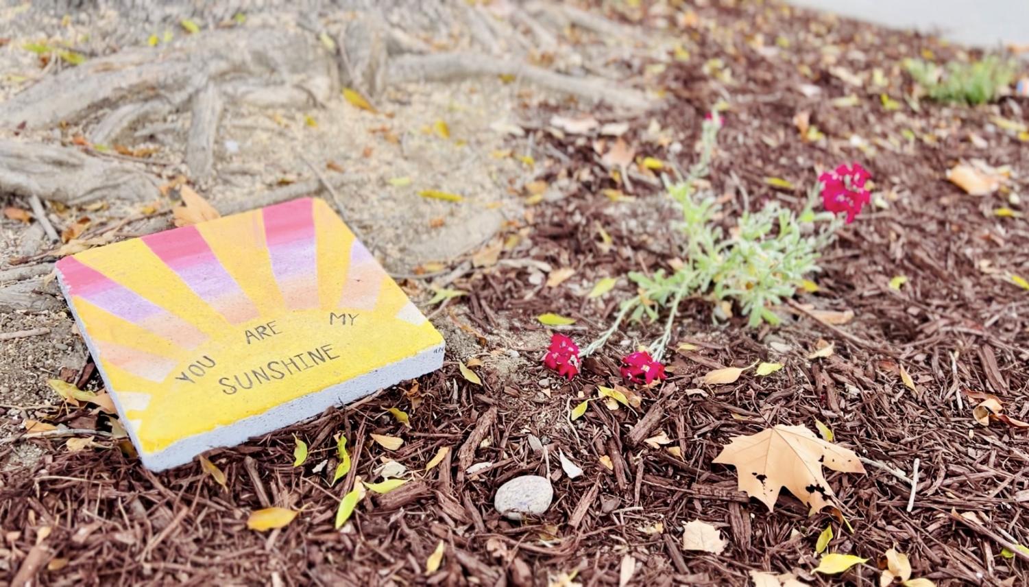 Trash on campus: through photos