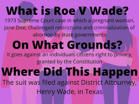 This court case was monumental for feminists involved in the pro choice movement, as it was the first steps to gaining women the right to an abortion.