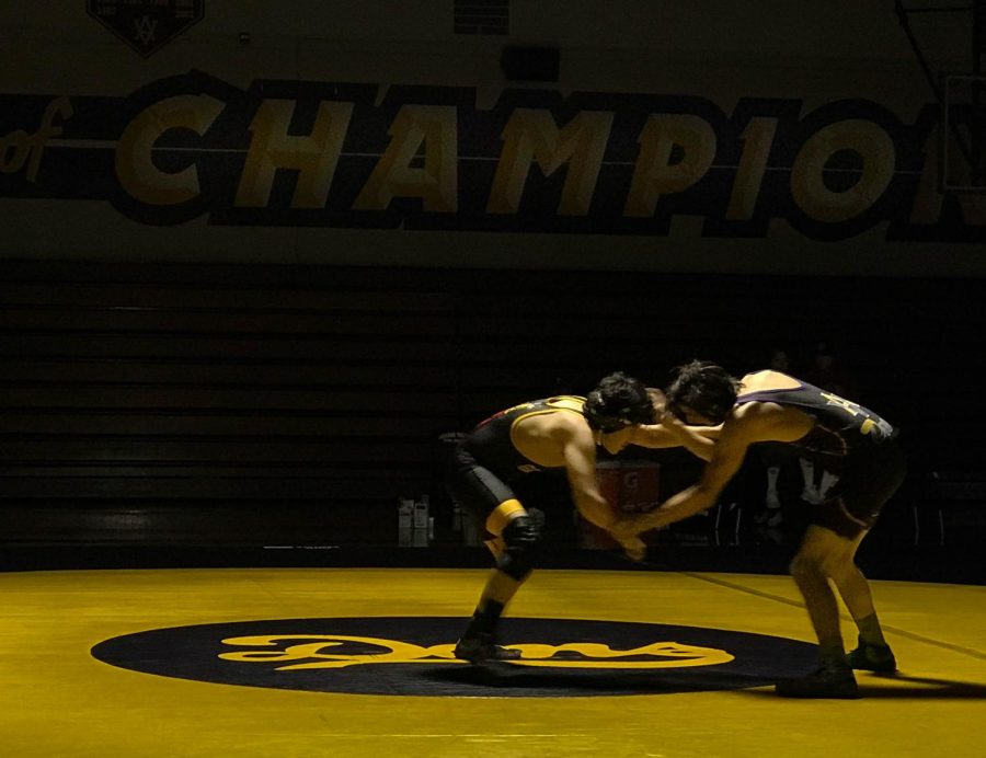 Varsity wrestler Matthew Whiteland (22) competes in the large gym at Amador.