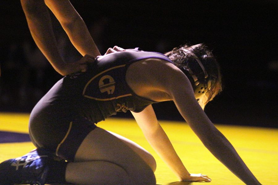 Eddie Park (22) wrestles hard at his senior night match.