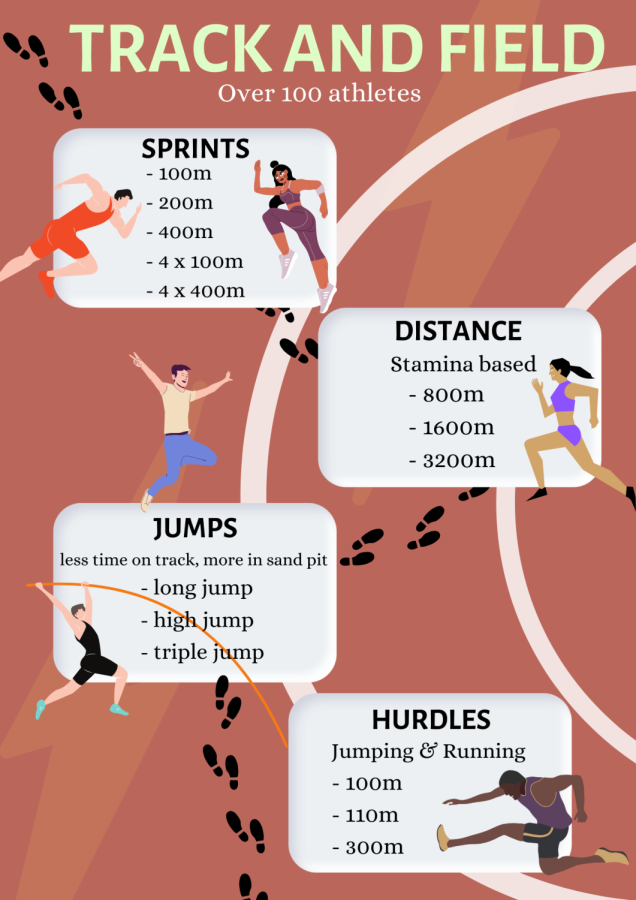 A guide to Amador Valley Track & Field Which event group should you