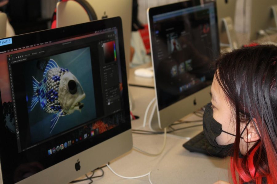 Students hone their photoshop skills on Adobe Photoshop, Illustrator, and InDesign.
