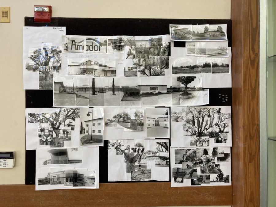 Amador photography utilized the darkroom to produce black and white photos of the campus.