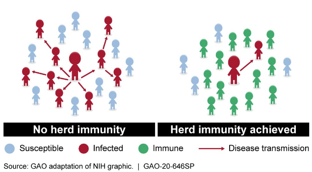 Herd+immunity+is+where+a+certain+threshold+of+the+population+is+immune+against+a+pathogen%2C+rendering+it+unable+to+spread+effectively.%0A