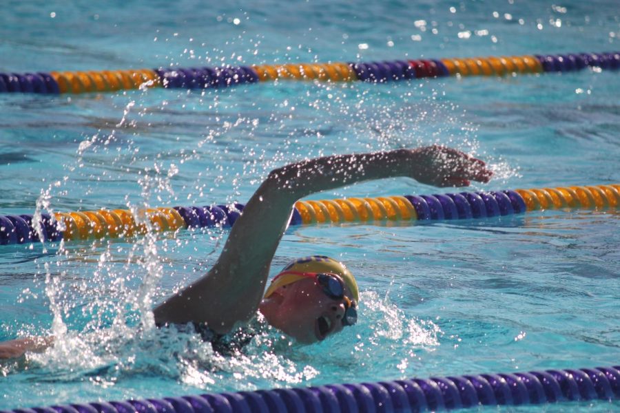 An Amador swimmer competes in the women's breaststroke.