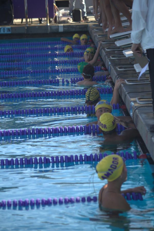 The number of events to go through meant the meet ran at a fast pace, with swimmers who had finished first waiting for the next swimmers to dive in before climbing out.