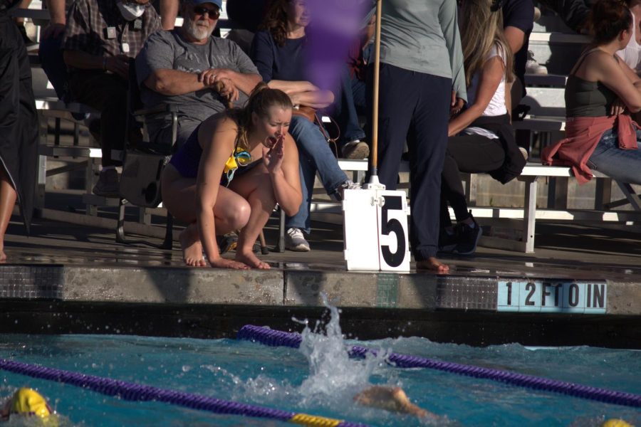 Swimmers cheered on their fellow team members in-between as they finished their races or waited to compete.