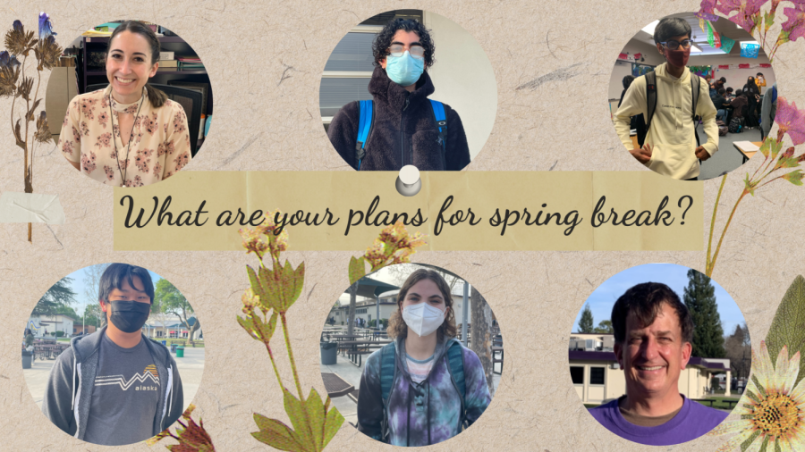 In March, our reporters interviewed students and staff to find out what they're planning for spring break. 