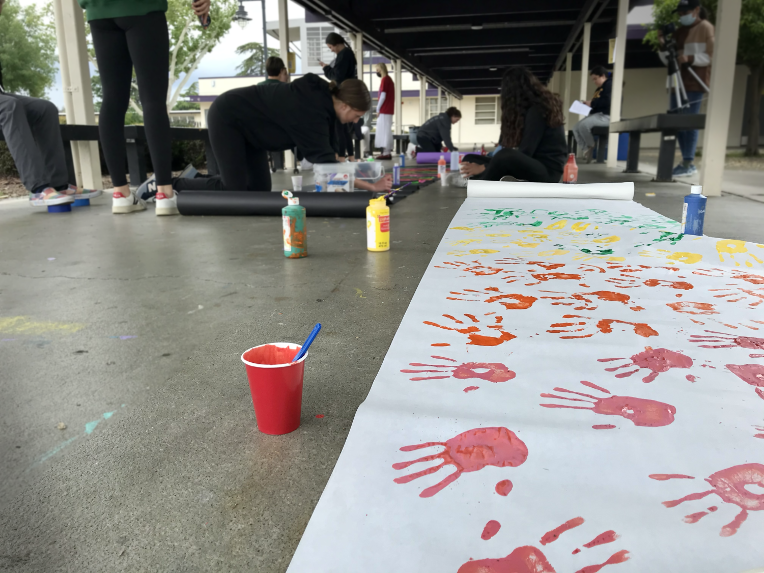 Donversity rally triumphs after months of planning