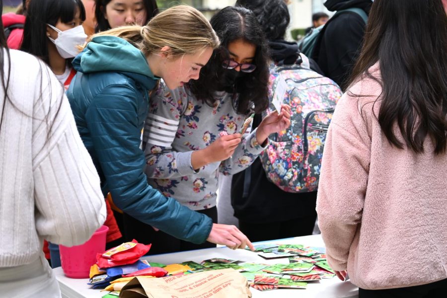 Students attend the sustainability activity during lunch time