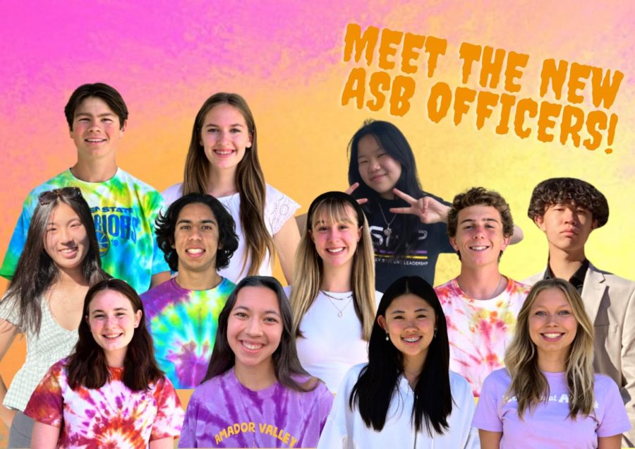 AV ASB Election Results: Meet your new class representatives