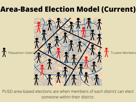 The current election model provides more space in the county where trustee members can be elected.