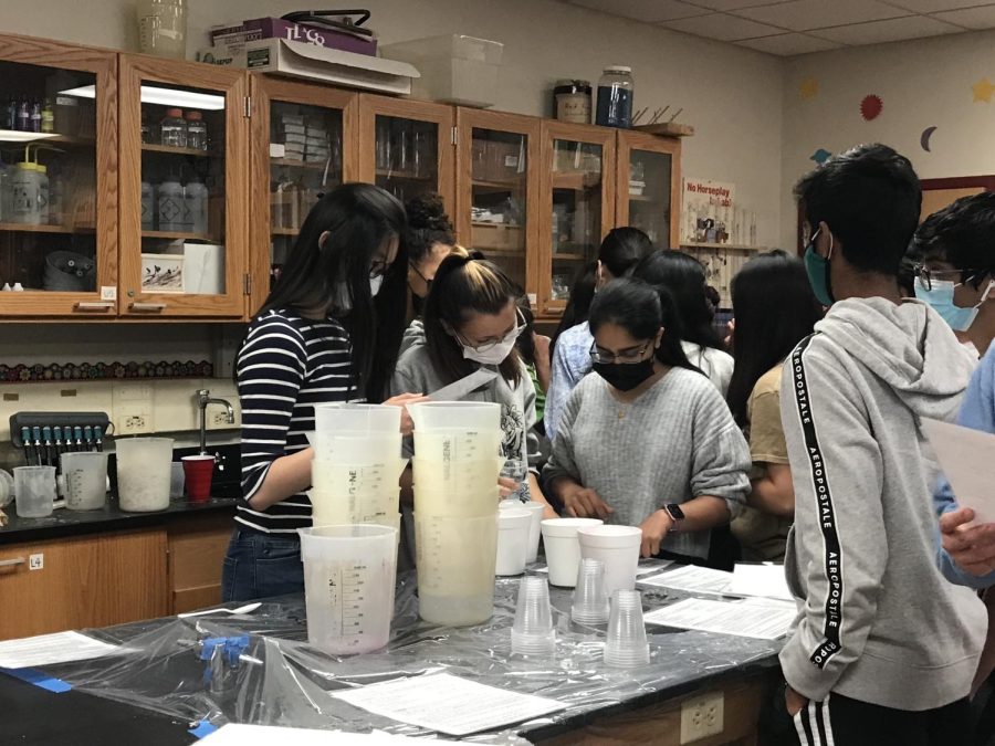 Chemistry students focus on the directions needed to make their ice cream.