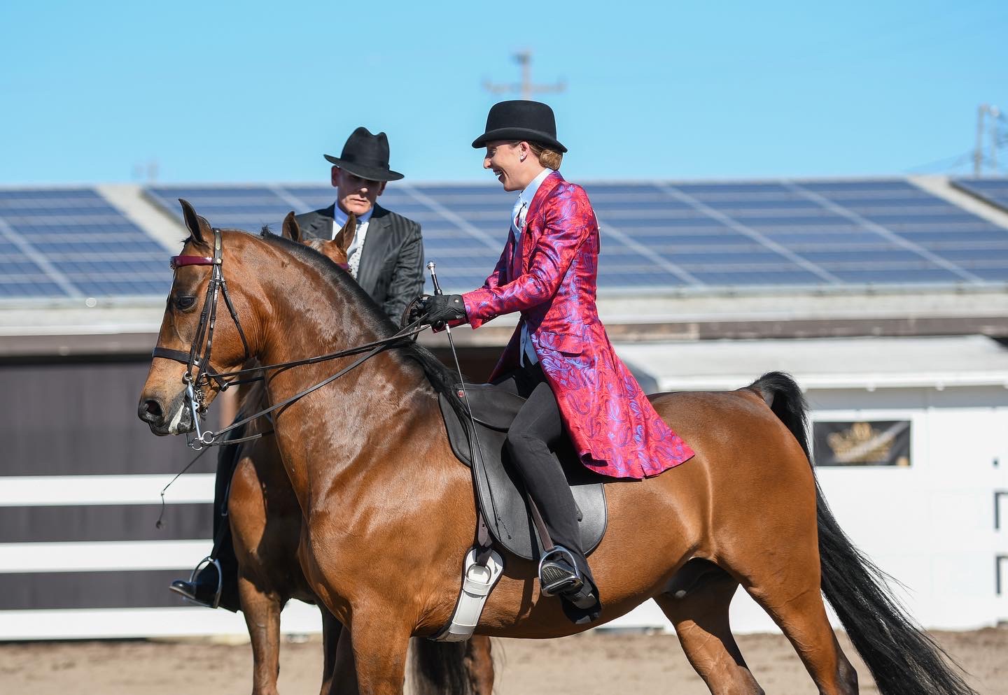 The annual Silicon Valley horse show is held successfully at alameda county fair