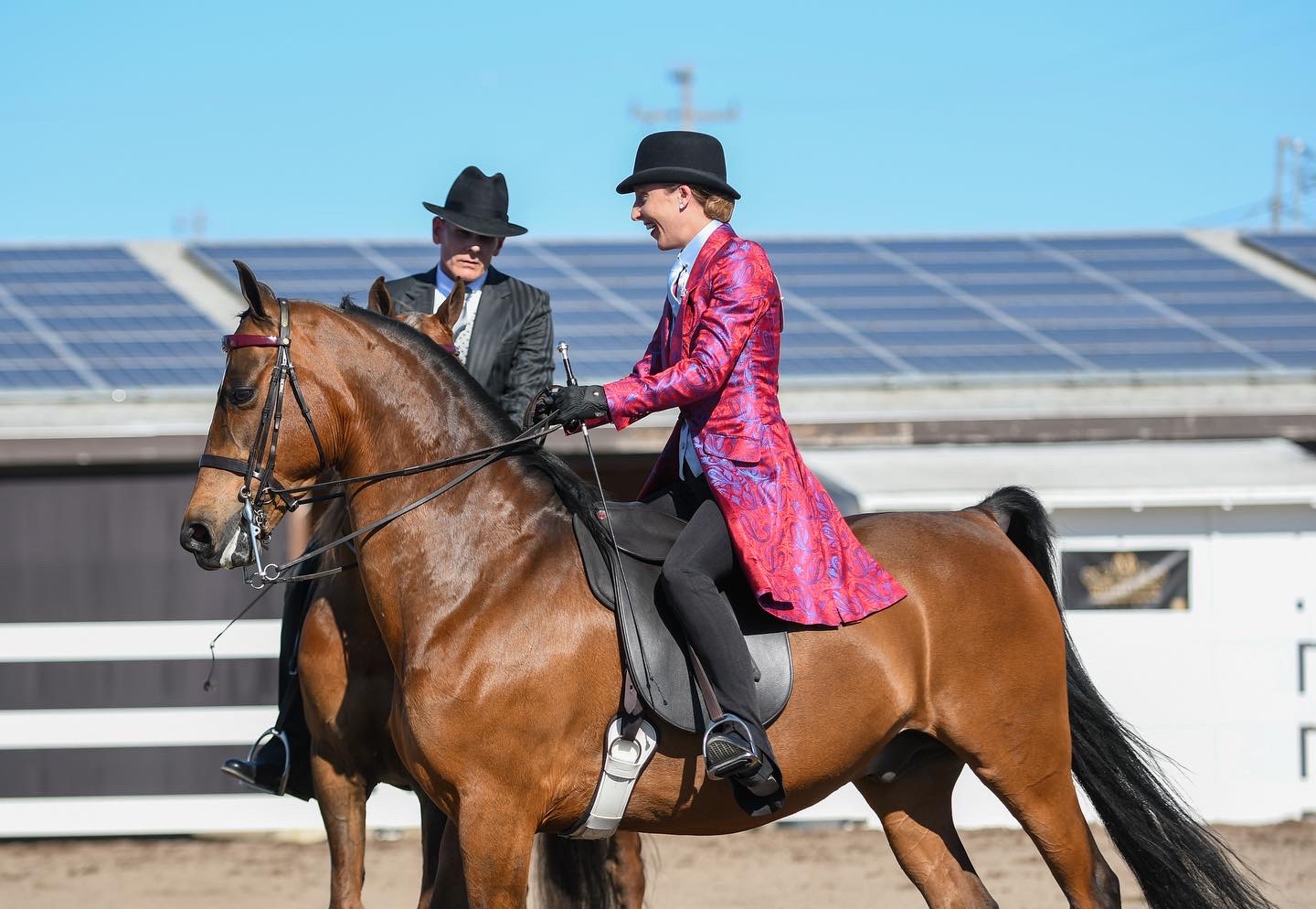 The+annual+Silicon+Valley+horse+show+is+held+successfully+at+alameda+county+fair