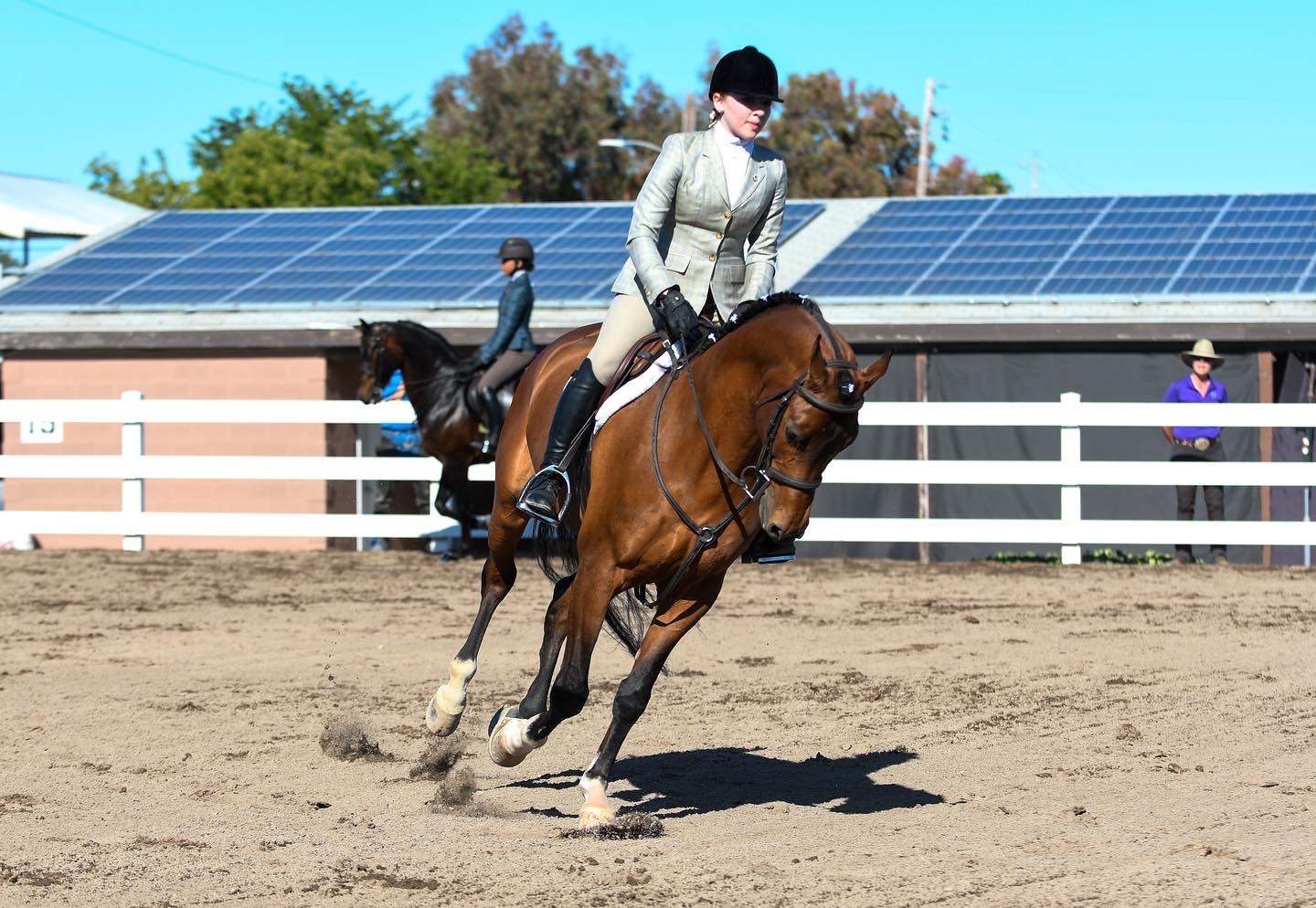 The annual Silicon Valley horse show is held successfully at alameda county fair