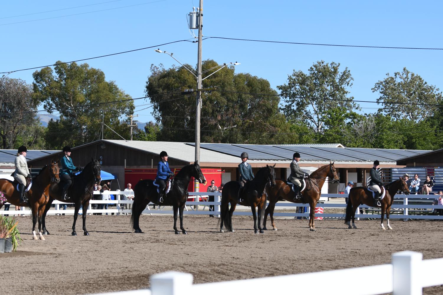 The+annual+Silicon+Valley+horse+show+is+held+successfully+at+alameda+county+fair