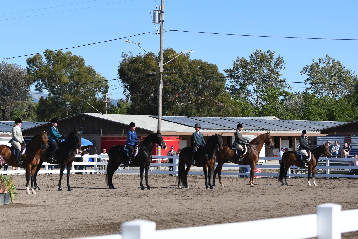 The annual Silicon Valley horse show is held successfully at alameda county fair