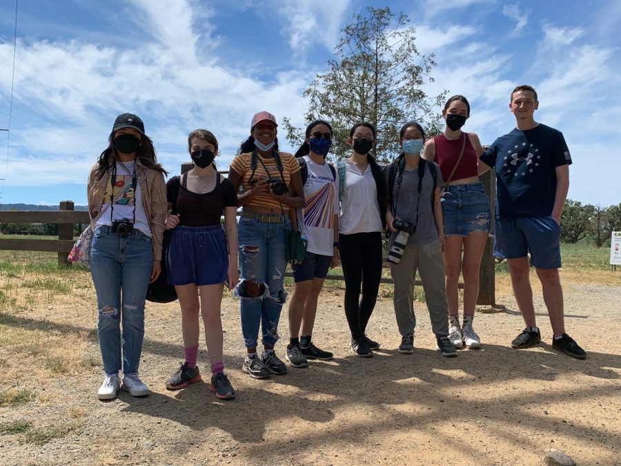 Nine members of Ornithology Club explored the wildlife of Shadow Cliffs.