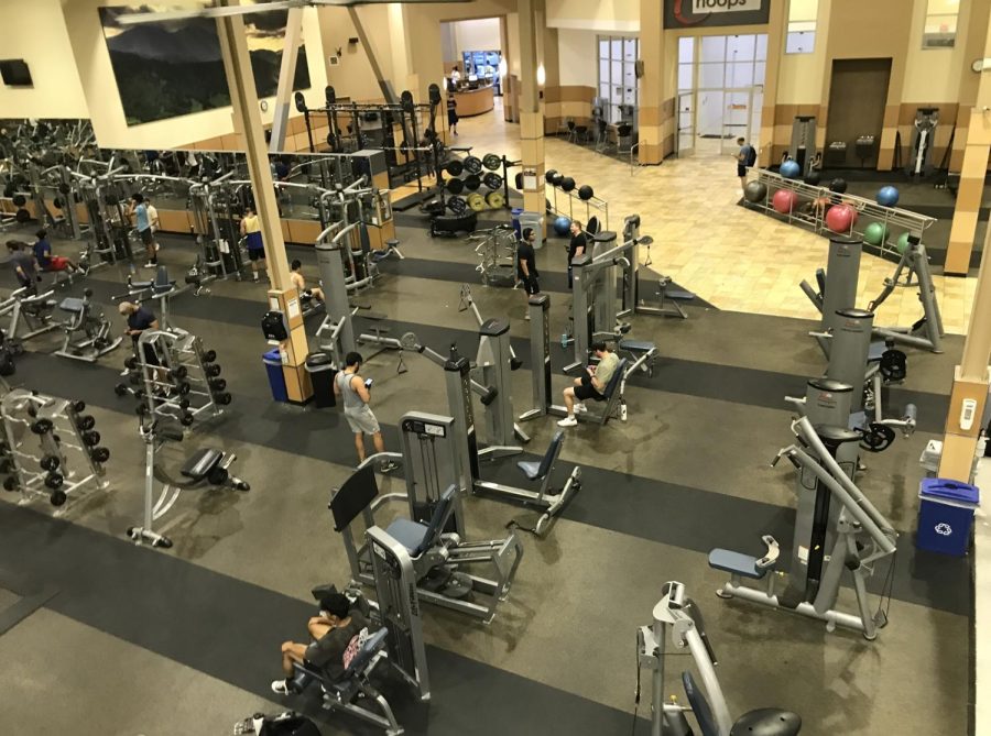Students have been enthusiastic about going back to the gym. As school work piles up, working out is a beneficial activity for teens to engage in.