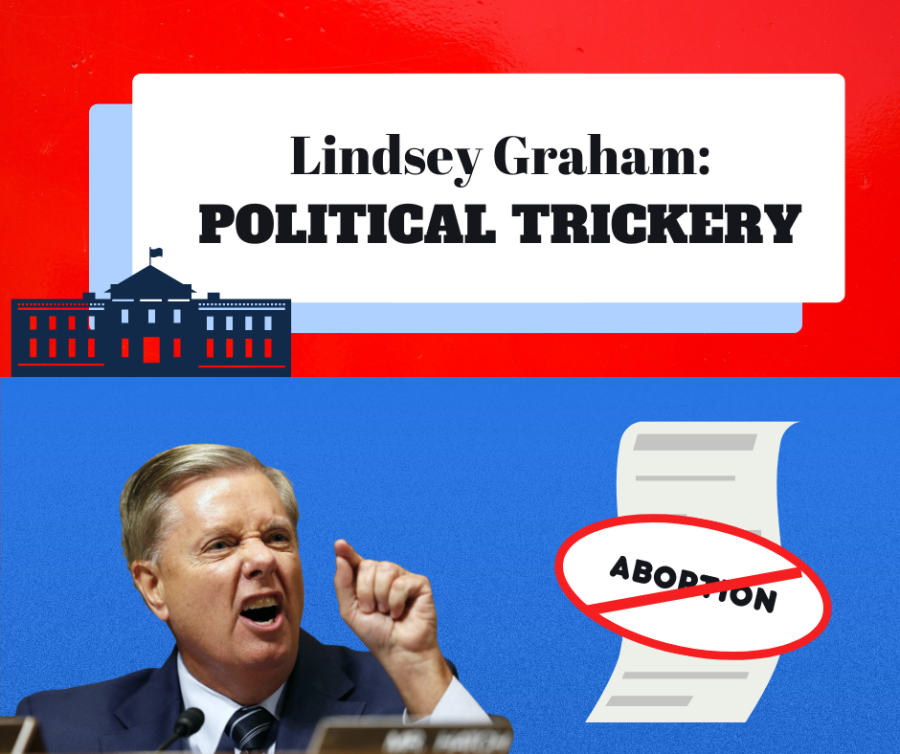 South+Carolina+Senator+Lindsey+Graham+introduced+an+abortion+bill+to+the+floor.+Is+this+a+form+of+political+trickery+to+gain+votes+for+the+midterm%3F