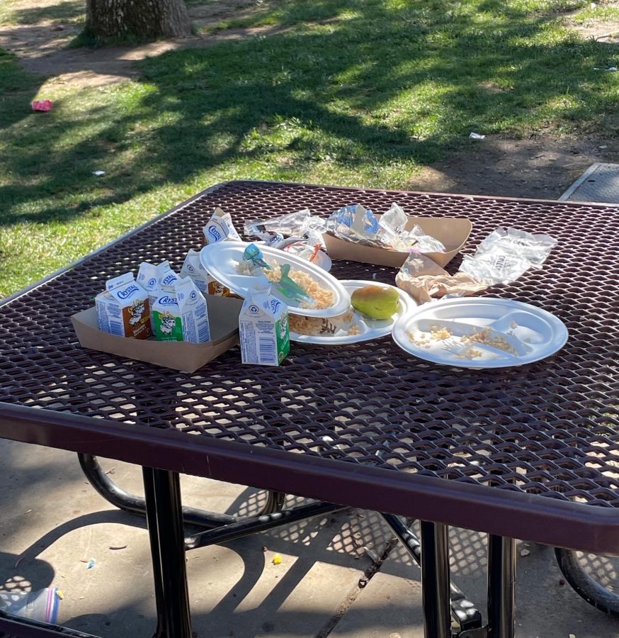 Trash left from lunch can be disposed of in the colored bins around campus.