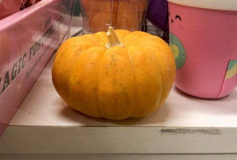 Small pumpkins have been hidden in several stores across downtown.
