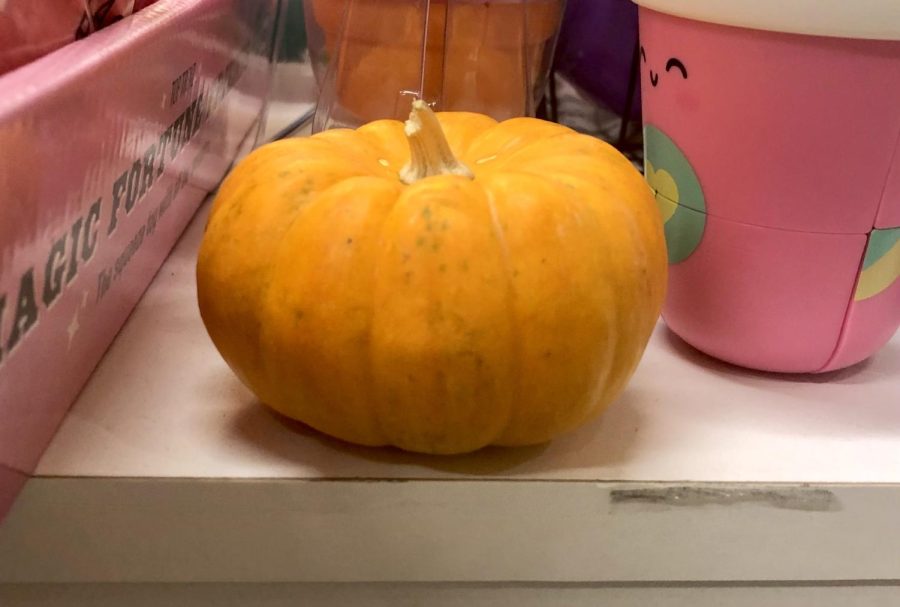 Small pumpkins have been hidden in several stores across downtown.
