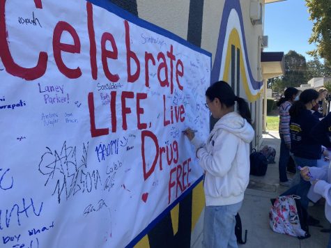 Students sign the pledge wall, which presents the 2022 slogan Celebrate life. Live drug free.