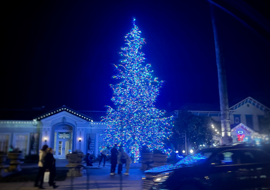 The tree-lighting ceremony brightened up Main Street with a festive mood.