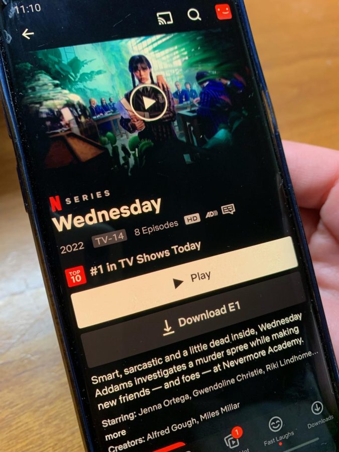 Wednesday Netflix Review