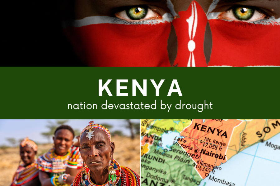Dubbed+%E2%80%9Cthe+worst+drought+in+decades%2C%E2%80%9D+this+environmental+crisis+has+gripped+eastern+Africa%2C+parched+landscapes%2C+killed+livestock%2C+and+created+a+humanitarian+issue+across+the+region.
