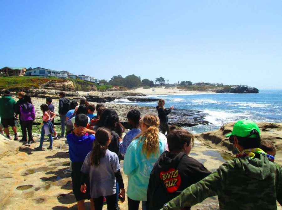 Elementary students explore and learn about the great outdoors under the care of the cabin leaders.
