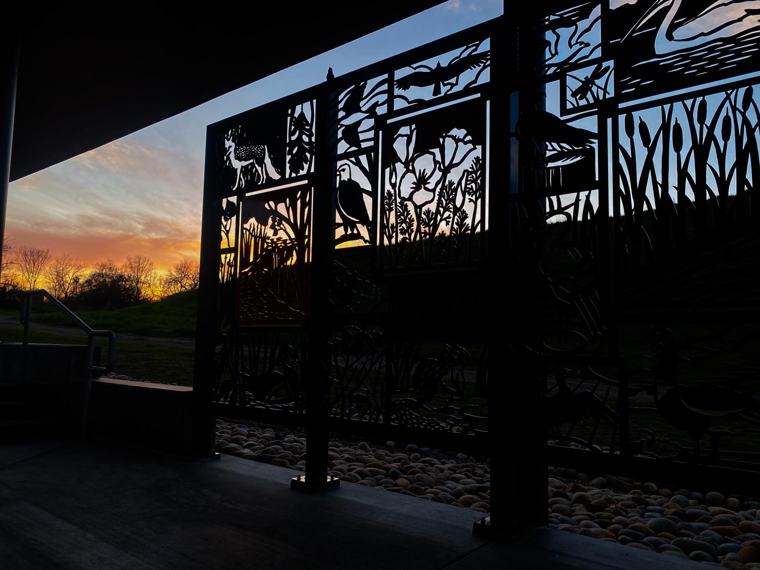 Review: visiting Shadow Cliffs’ brand new Interpretive Pavillion