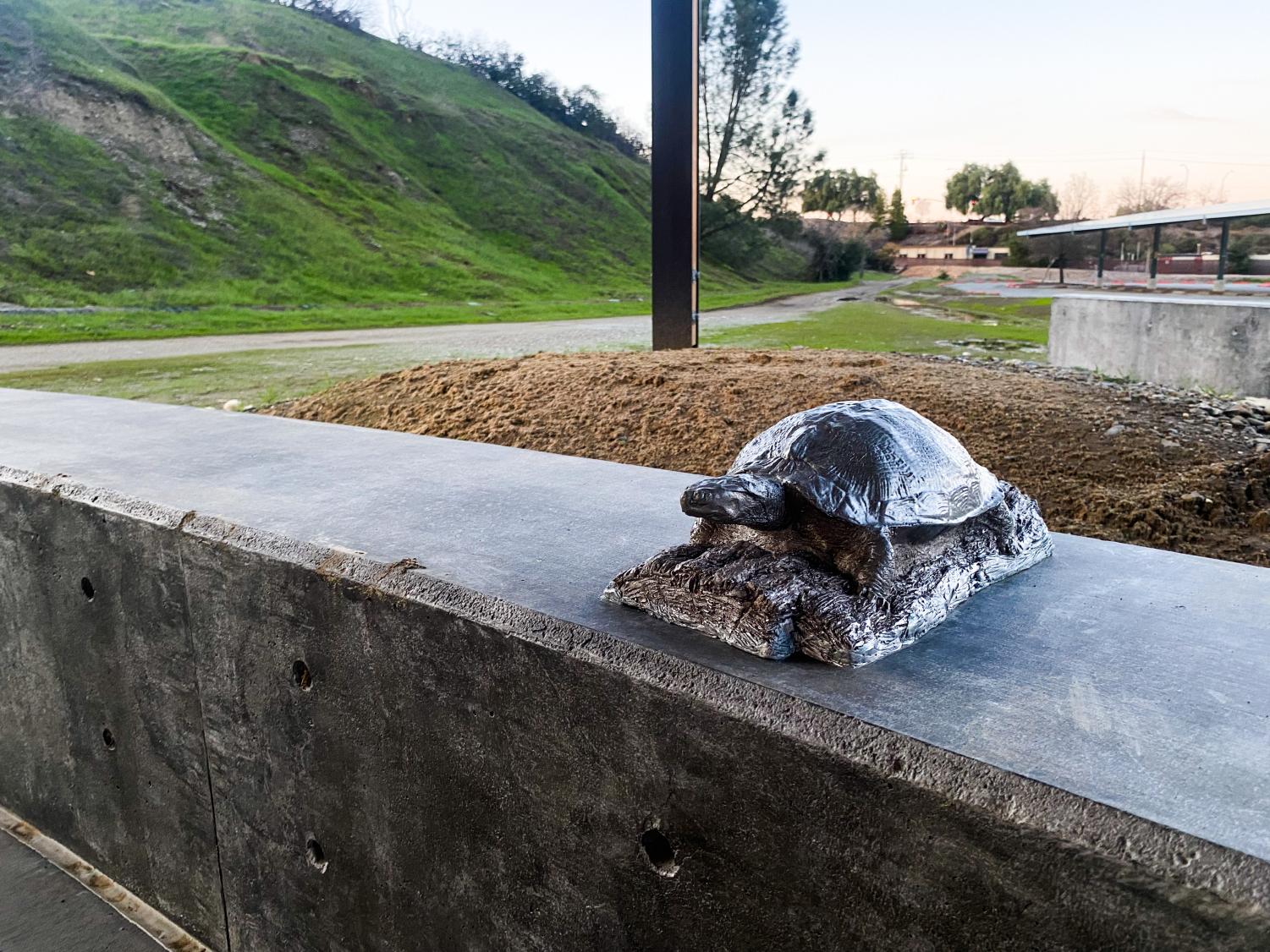 Review: visiting Shadow Cliffs’ brand new Interpretive Pavillion