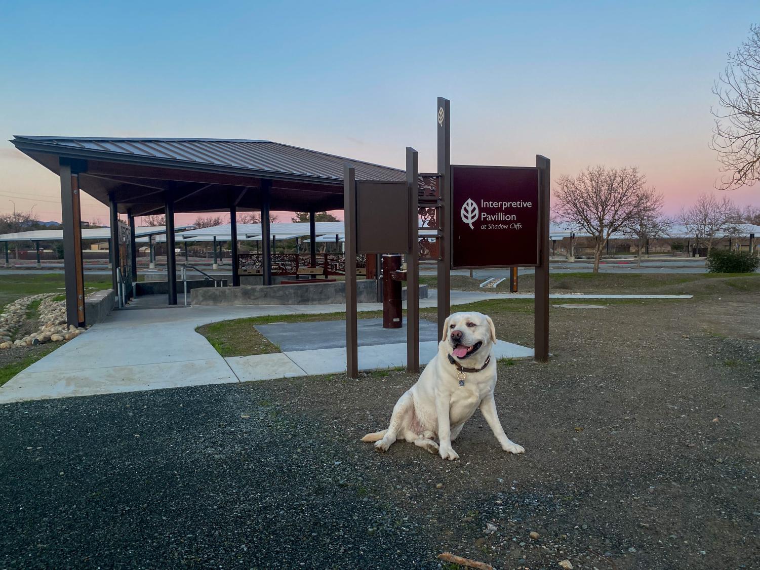 Review: visiting Shadow Cliffs’ brand new Interpretive Pavillion
